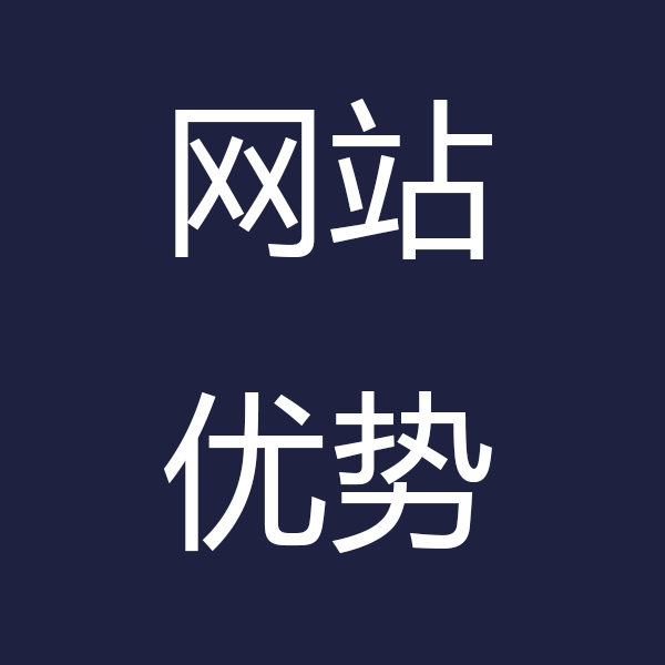 网站优势