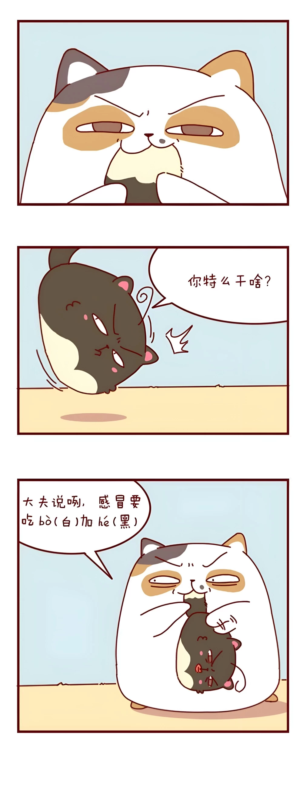 蛋粥传奇 第一话