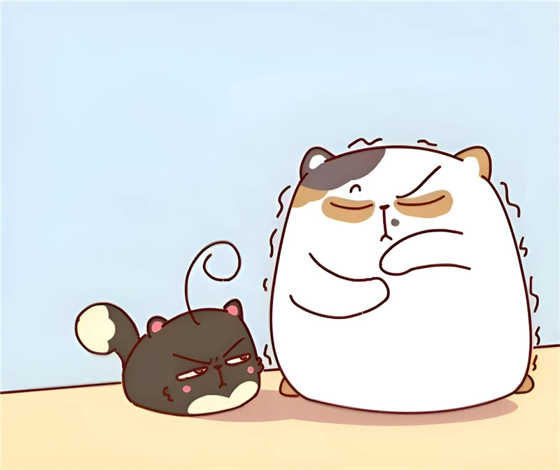 曼城风云 麦昆之旅