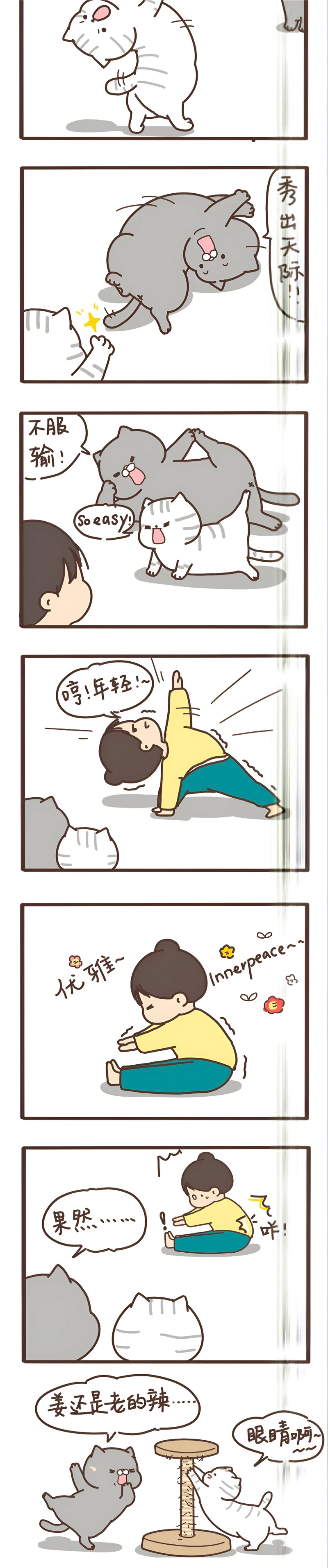 我们只是小猫咪 第十三话