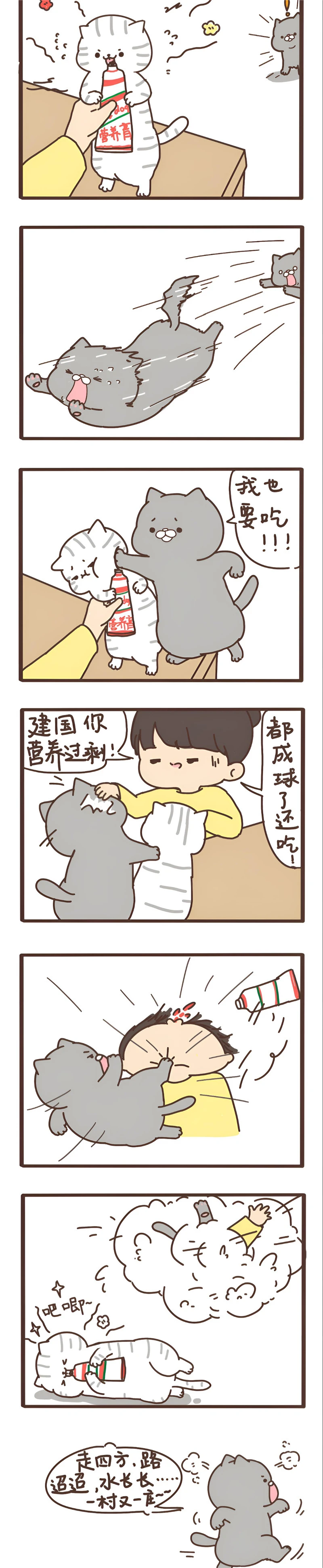 我们只是小猫咪 第十三话