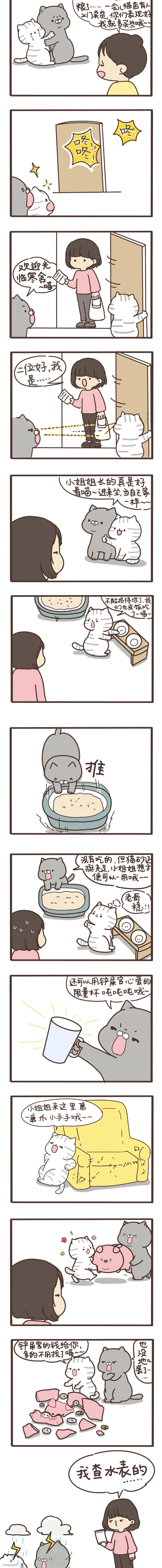 我们只是小猫咪 第十三话